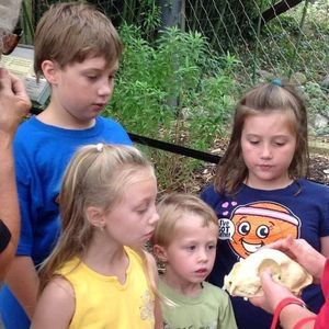 Meet your Posher, Heidi